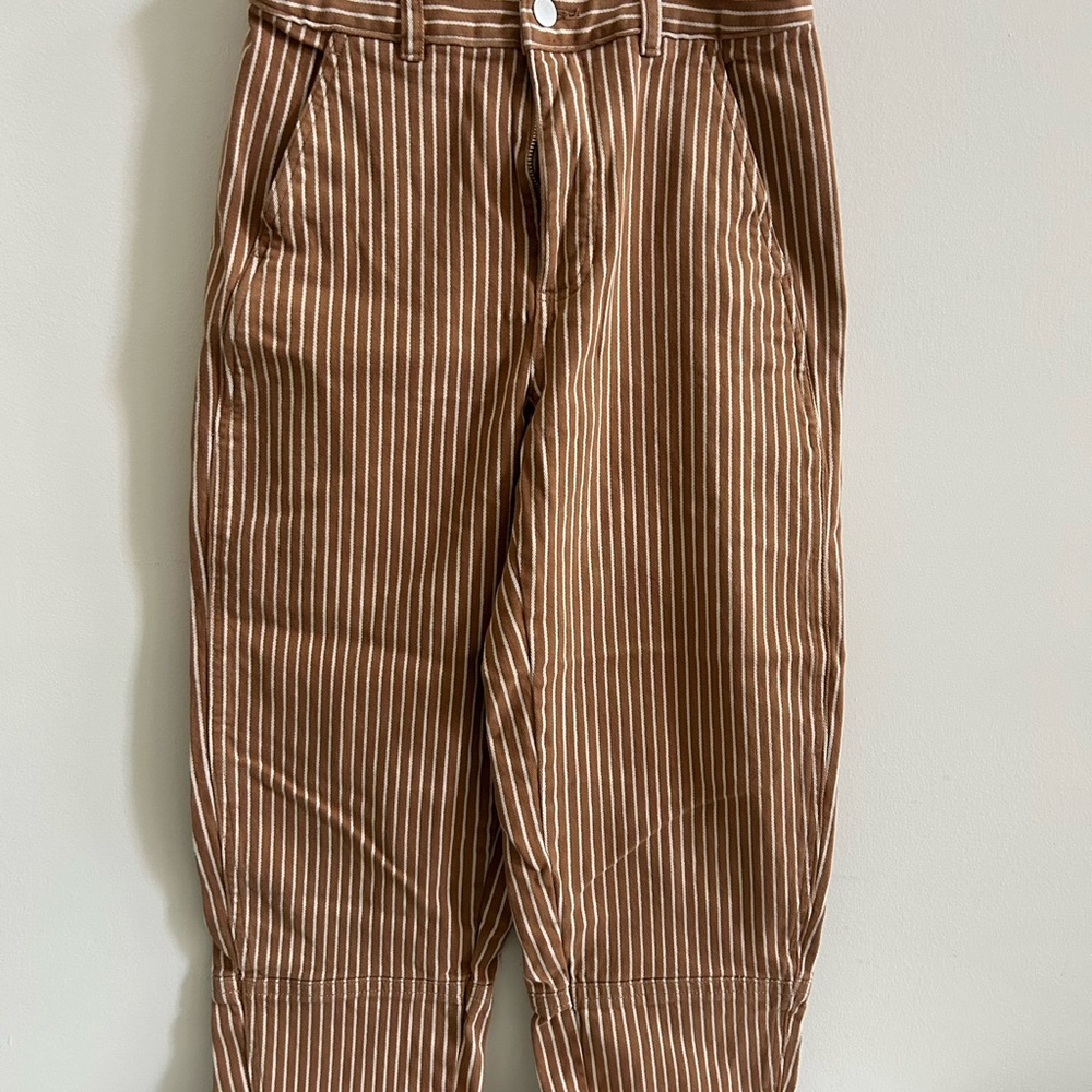 Everlane Brown Striped Pants